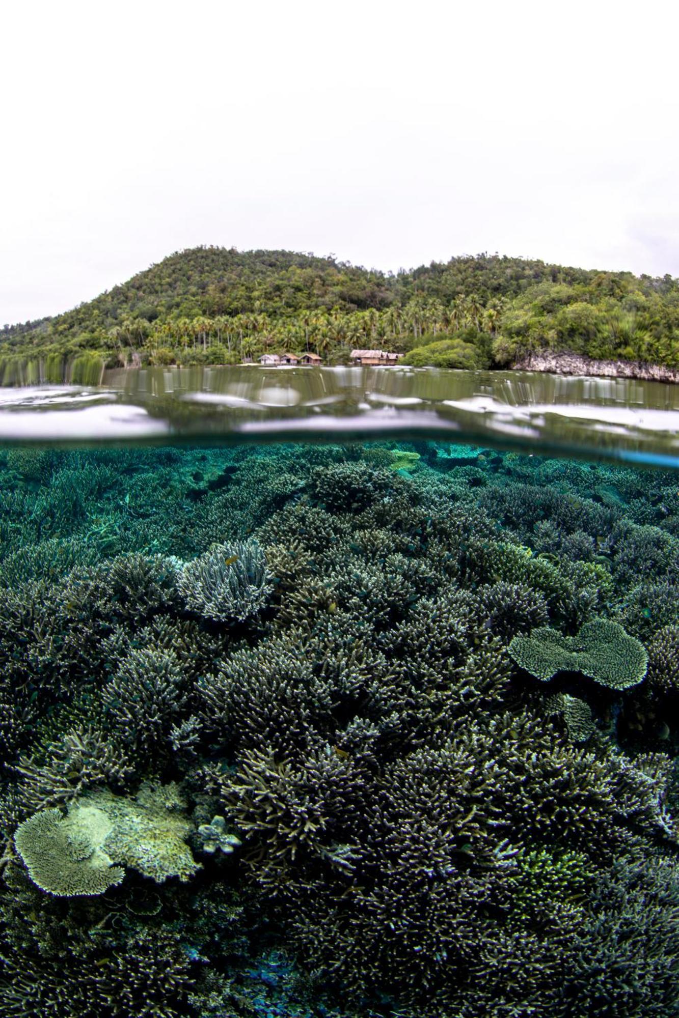 Mansuar Raja Ampat Bungalows Kri Екстер'єр фото